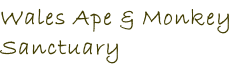 Wales Ape & Monkey  Sanctuary